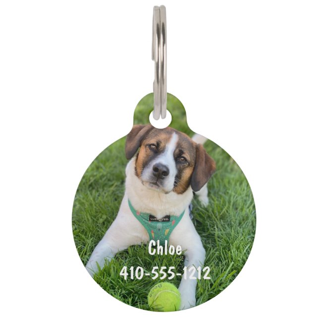 Personalisiertes Foto ID Hund Katzenmarke Haustiermarke (Vorderseite)