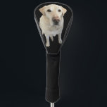 Personalisiertes Foto, individueller Golf Head Cov Headcover<br><div class="desc">Personalisieren Sie diesen Golfkopfdeckel mit Ihrem eigenen Foto oder nutzen Sie das Labradors Foto "Lincoln". Perfekt für den Vatertag,  Weihnachten oder jeden Tag des Jahres. Jeder würde sich freuen,  so ein wunderbares Geschenk zu erhalten.</div>