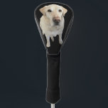 Personalisiertes Foto, individueller Golf Head Cov Headcover<br><div class="desc">Personalisieren Sie diesen Golfkopfdeckel mit Ihrem eigenen Foto oder nutzen Sie das Labradors Foto "Lincoln". Perfekt für den Vatertag, Weihnachten oder jeden Tag des Jahres. Jeder würde sich freuen, so ein wunderbares Geschenk zu erhalten.</div>