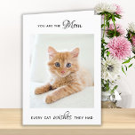 Personalisiertes Foto Katze Mama Muttertag Feiertagskarte<br><div class="desc">Happy Mother's Day die beste Katze Mama aller Zeiten! Gib Mama eine niedliche und lustige personalisierte Foto-Karte von ihrem besten Freund und Lieblingskind, der Katze! "Du bist die Mama, die jede Katze haben möchte. . . Happy Mother's Day Mama, Liebe the Cat" Personalisieren Sie das Innere mit Ihrer speziellen Nachricht,...</div>