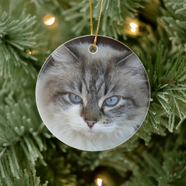 Personalisiertes Foto Katzen und Silhouette Keramik Ornament (Baum)