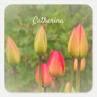Personalisiertes Foto mit roten und gelben Tulpen
