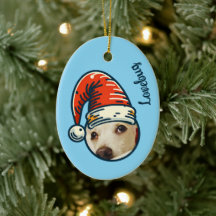 Personalisiertes Foto Santa Pete Custom