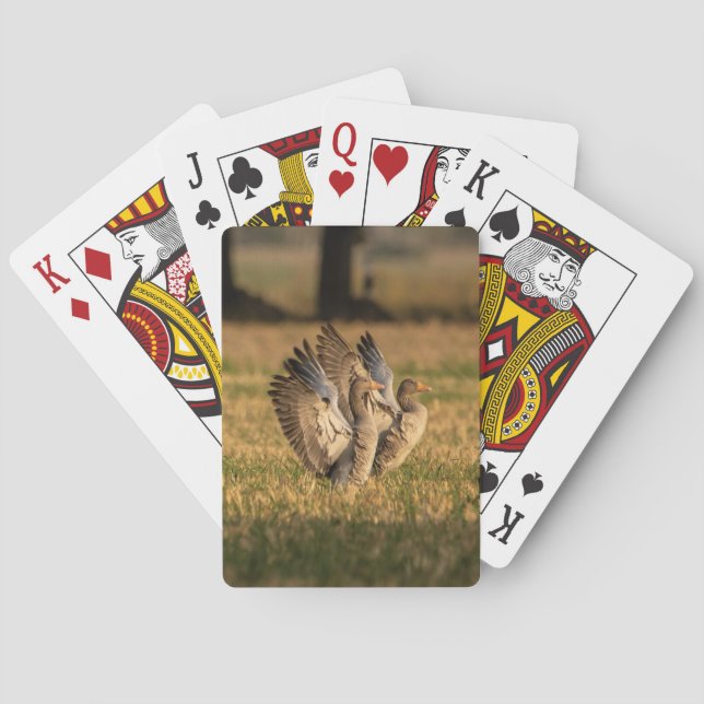 Personalisiertes Foto Spielkarten (Rückseite)