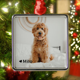 Personalisiertes Foto und Name Haustier Ornament Aus Metall