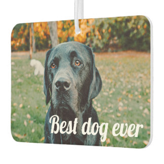 Personalisiertes Foto und  Text Autolufterfrischer