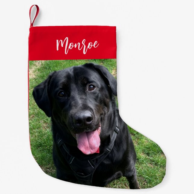 Personalisiertes Foto und Text für Haustiere im sc Kleiner Weihnachtsstrumpf (Vorderseite)