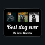 Personalisiertes Foto und  Text Magnet<br><div class="desc">Fügen Sie Ihr eigenes Foto und Text zu diesem anpassbaren Magneten hinzu,  personalisiert,  um Ihre Anforderungen von Ricaso Anzug</div>