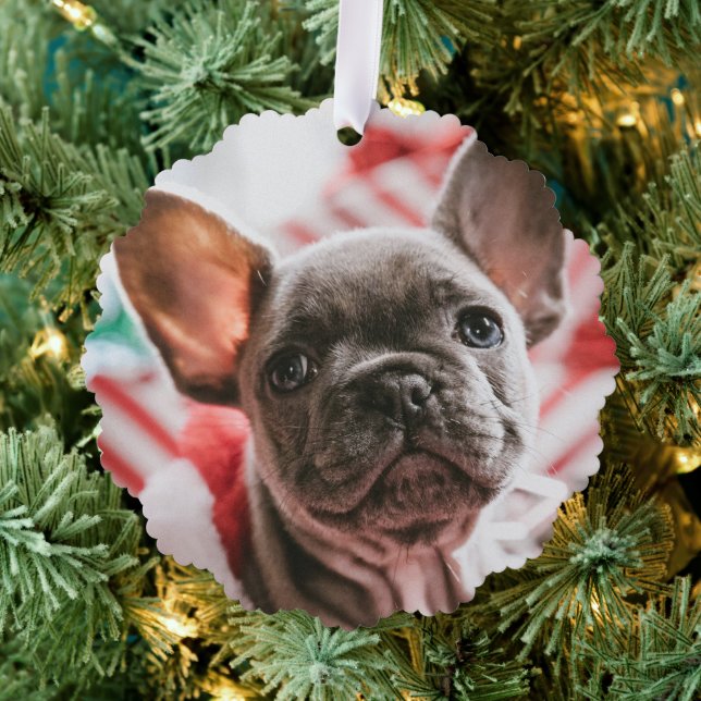 Personalisiertes Foto und Text Weihnachtsbaum Ornament Karte (Insitu (Baum))