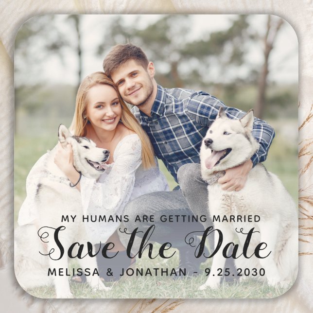 Personalisiertes Foto Verlobung Hunde Hochzeit Quadratischer Aufkleber (Von Creator hochgeladen)