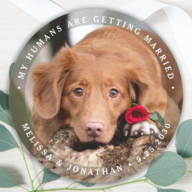 Personalisiertes Foto Verlobung Hunde Hochzeit Runder Aufkleber (Von Creator hochgeladen)