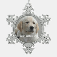 Personalisiertes Golden Retriever Hund Foto und Na