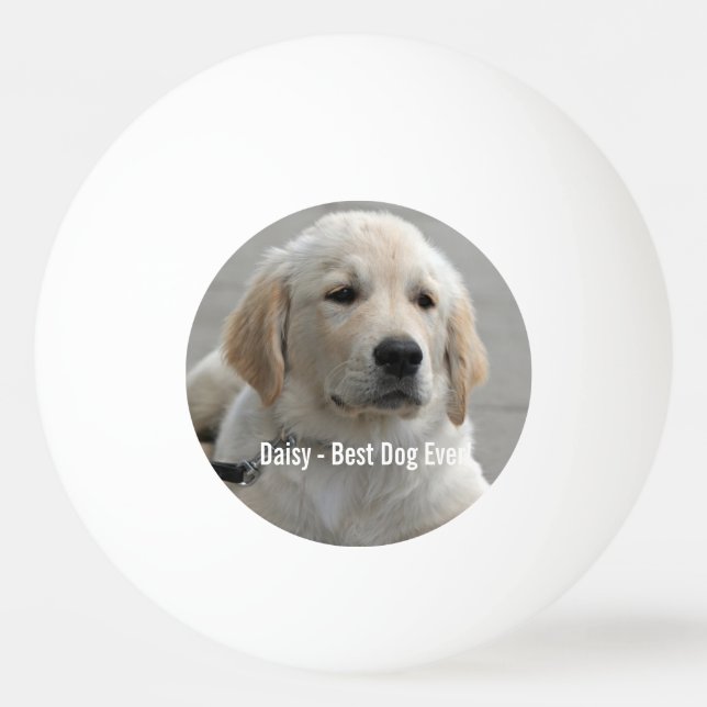 Personalisiertes Golden Retriever Hund Foto und Na Tischtennisball (Vorderseite)