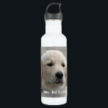 Personalisiertes goldener Retriever-HundeFoto und Trinkflasche<br><div class="desc">Personifizieren Sie dieses goldener Retriever-Hundeandenken mit dem Ihrem Foto des Hundes oder des Welpen und Namen (oder anderem Haustier- oder Personen-Foto/Namen). Text liest "besten Hund überhaupt" oder addiert Ihren eigenen Text - uns Liebe Gänseblümchen (der Name Ihr Hundes), der Geburtstag des Hundes oder Tag des Überschreitens. Klicken Sie einfach an...</div>