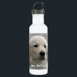 Personalisiertes goldener Retriever-HundeFoto und Trinkflasche<br><div class="desc">Personifizieren Sie dieses goldener Retriever-Hundeandenken mit dem Ihrem Foto des Hundes oder des Welpen und Namen (oder anderem Haustier- oder Personen-Foto/Namen). Text liest "besten Hund überhaupt" oder addiert Ihren eigenen Text - uns Liebe Gänseblümchen (der Name Ihr Hundes), der Geburtstag des Hundes oder Tag des Überschreitens. Klicken Sie einfach an...</div>