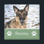 Personalisiertes Green Pet Foto Magnet<br><div class="desc">Personalisiertes Green Pet Foto Magnet.</div>