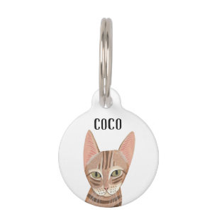 Personalisiertes Halsband für rote Katze mit Namen Haustiermarke