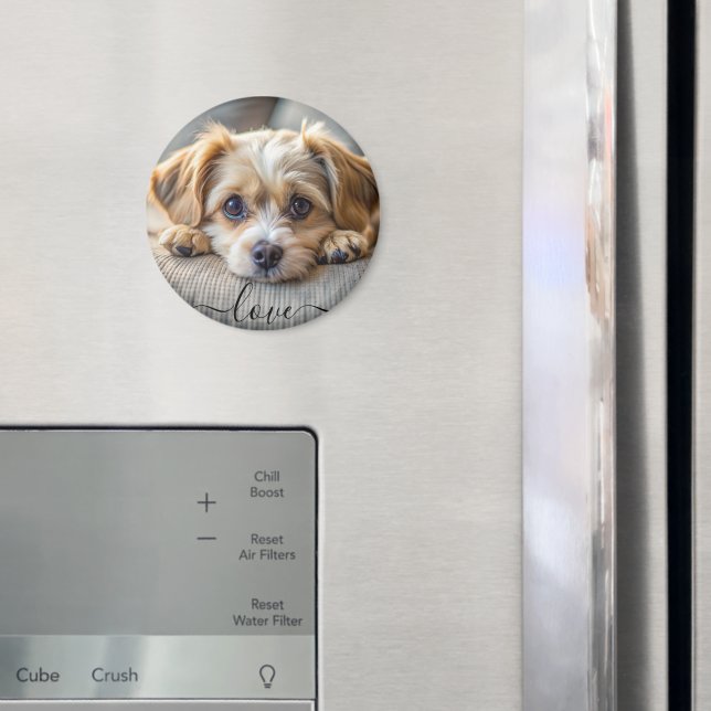 Personalisiertes Haustier 2 Foto Hundeliebhaber Sa Magnet (In Situ (Kühlschrank))