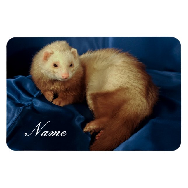 Personalisiertes Haustier Ferret Magnet (Horizontal)