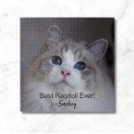 Personalisiertes Haustier Foto Best Ragdoll Katze<br><div class="desc">Dieses Design zeichnet sich durch ein wunderschönes, blau-mit Augen Ragdoll Katzenjacke-Foto und eine schwarze Typografie aus. Sie können das Foto durch ein Bild Ihrer eigenen Katze oder eines Kätzchens ersetzen. Der Beispieltext - Best Ragdoll Ever - kann nach eigenem Ermessen mit Wörtern bearbeitet werden, und es kann auch ein Name...</div>