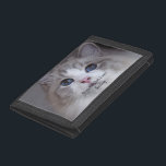 Personalisiertes Haustier Foto Beste Ragdoll Katze Trifold Geldbörse<br><div class="desc">Dieses Design zeichnet sich durch ein wunderschönes, blau-mit Augen Ragdoll Katzenjacke-Foto und eine schwarze Typografie aus. Sie können das Foto durch ein Bild Ihrer eigenen Katze oder eines Kätzchens ersetzen. Der Beispieltext - Best Ragdoll Ever - kann nach eigenem Ermessen mit Wörtern bearbeitet werden, und es kann auch ein Name...</div>