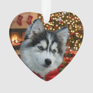 Personalisiertes Haustier-Foto "Liebe" Gold Glitte Ornament