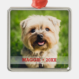Personalisiertes Haustier Foto Niedlich Weihnachts Silbernes Ornament