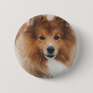 Personalisiertes Haustier-Hunde-Liebhaber-Foto Button