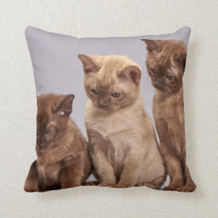 Personalisiertes Haustier Kissen