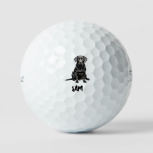Personalisiertes Haustierbild Name Titleist Pro V1 Golfball