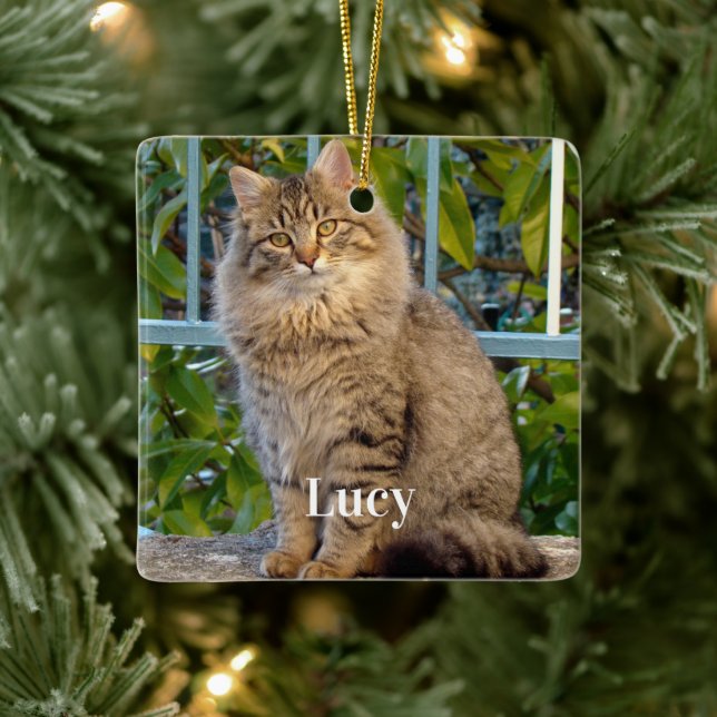Personalisiertes Haustierfoto Katzenliebhaber und  Keramikornament (Baum)