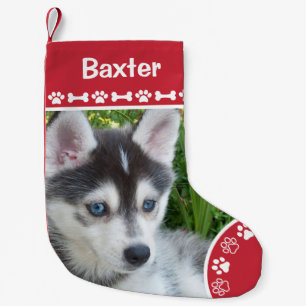 Personalisiertes Hund-Foto mit Monogramm-Namen Kleiner Weihnachtsstrumpf