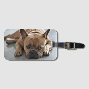 Personalisiertes Hunde-Foto Gepäckanhänger