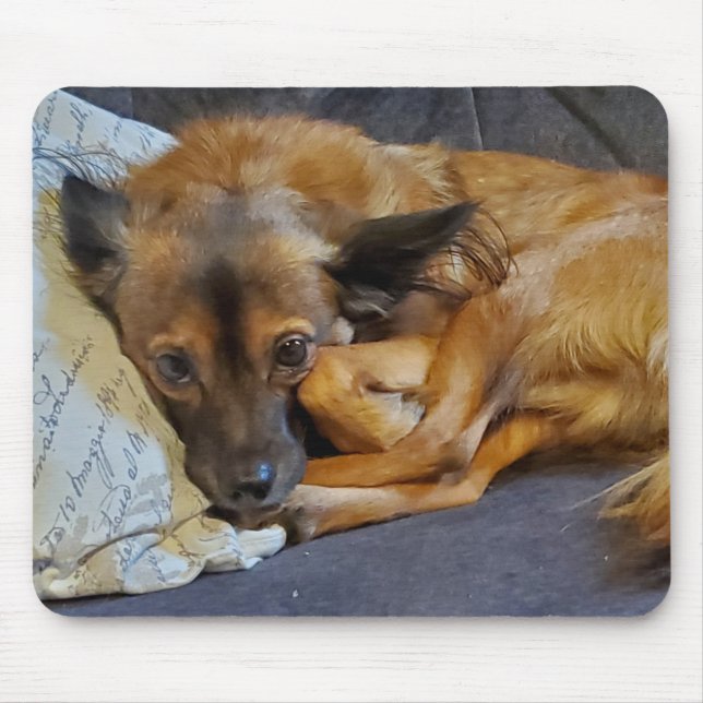 Personalisiertes Hundebüt-Foto Mousepad (Vorne)