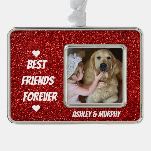 Personalisiertes Hundefüßer-Foto mit Best Friends- Rahmen-Ornament Silber (Vorderseite)