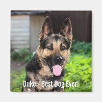 Personalisiertes Hundehund-Foto, Hundename
