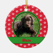 Personalisiertes -Hundepaw-Foto