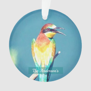 Personalisiertes individuelles farbenfrohes Vogel- Ornament