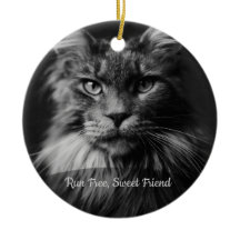 Personalisiertes Katzen-Gedenkfoto-Ornament