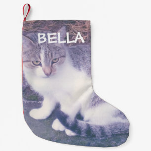 Personalisiertes Katzen- oder Hunde-Foto für den i Kleiner Weihnachtsstrumpf