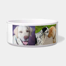 "Personalisiertes Labrador & Dalmatiner Dog Bowl Napf