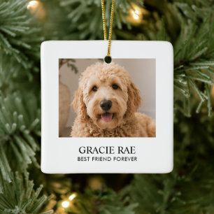 Personalisiertes modernes einfaches Haustierfoto Keramikornament