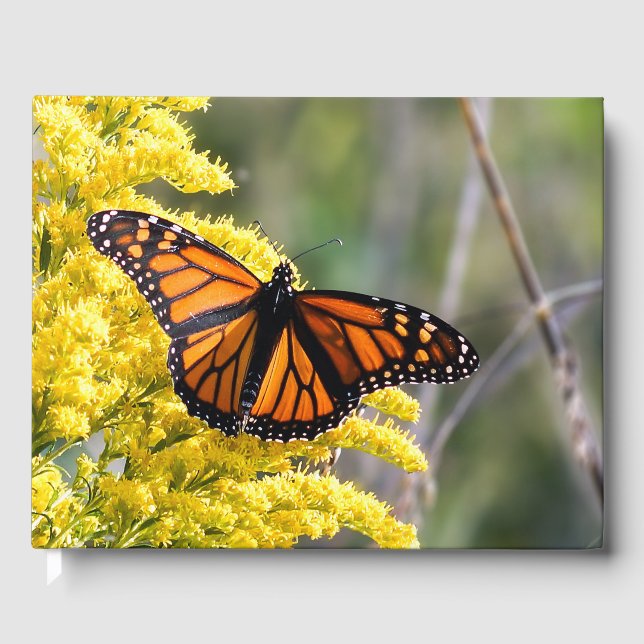 Personalisiertes Monarch Butterfly Wedbook Gästebuch (Vorderseite)