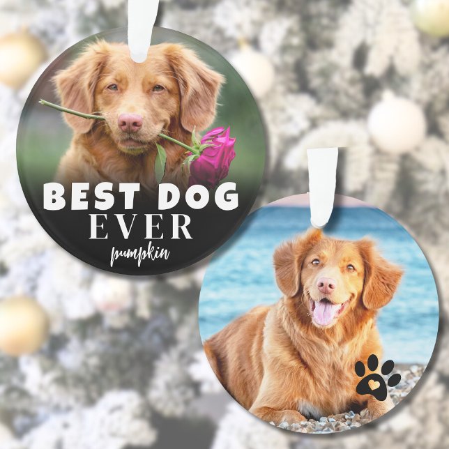 Personalisiertes Niedliches Best Dog-Foto Ornament (Personalized Cute Best Dog Photo Ornament )