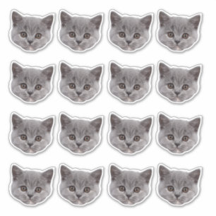 Personalisiertes Niedliches Cat Face 16 Fotos Viny Aufkleber