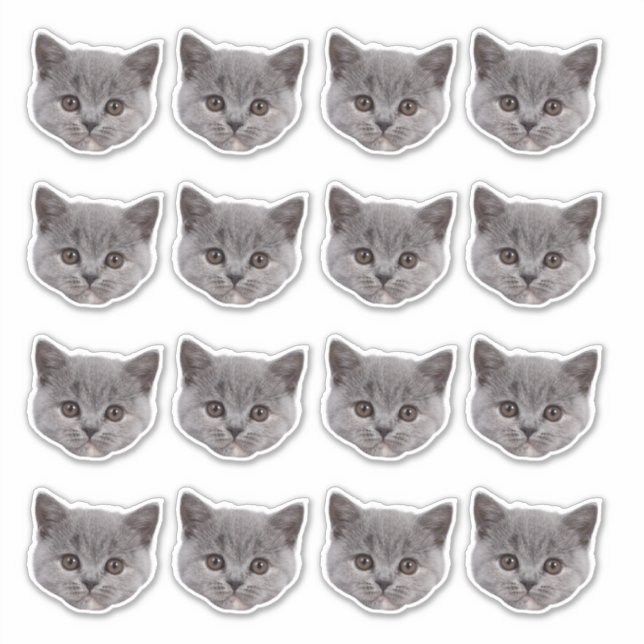 Personalisiertes Niedliches Cat Face 16 Fotos Viny Aufkleber (Vorderseite)