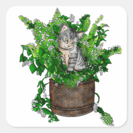 Personalisiertes Niedliches Kitten in Catnip Pot Quadratischer Aufkleber