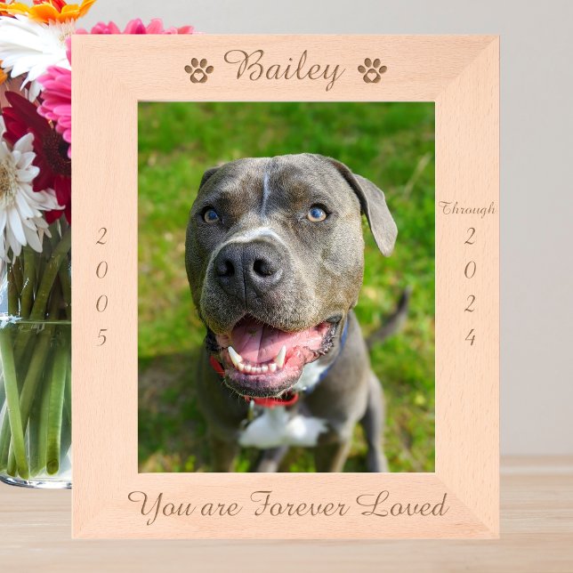 Personalisiertes Pad Print Pet Memorial Holzbild Geätzte Rahmen (Von Creator hochgeladen)