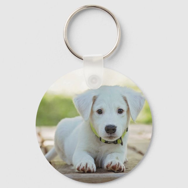 Personalisiertes Pet-Foto Schlüsselanhänger (Vorderseite)