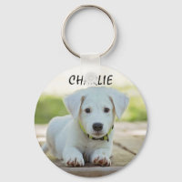 Personalisiertes Pet-Foto